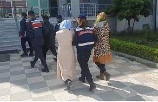 JASAT, Gönen ve Manyas’ta 10’dan fazla hırsızlık...