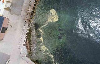 Kadıköy’de müsilajı andıran görüntü