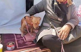 Kahramanmaraş’ta depremde kendisini kurtaran köpeğiyle...