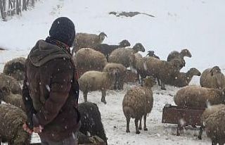 Kar geri geldi, hayat felç oldu