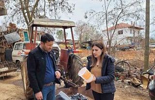 Karacasulu incir üreticilerine ekşilik böceği...