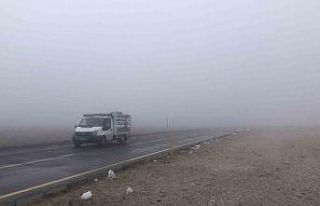 Kars’ta kar yağışı ve sis ulaşımı olumsuz...