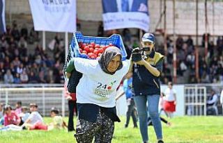Kasalarla domatesi sırtlarında 40 metre taşıyıp...