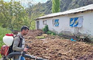 Keban’da haşere ile mücadele çalışması başladı