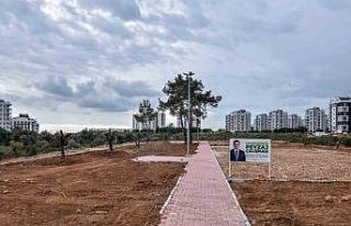 Kepez Çankaya’ya zeytin temalı park