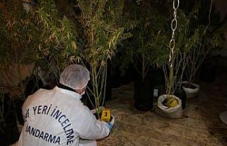 Kiraladıkları villayı milyonluk yatırımla skunk...