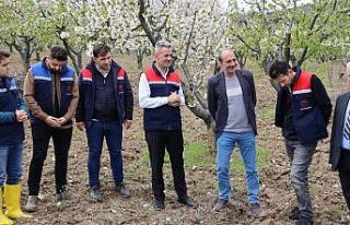 Kiraz bahçelerinde eğitim yapıldı