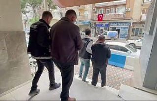 Kiraz’da 345 kök Hint keneviri ele geçirildi