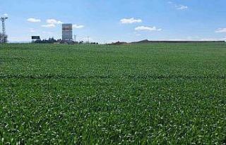 Kırmızı alarmlı kuraklık sonrası nisan yağışları...