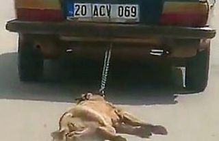 Köpeği araca bağlayıp sürükleyerek öldüren...