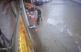 Köpeğin çocuğa saldırma anı kamerada