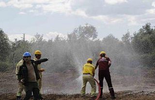 Köyceğiz ve Dalaman Orman İşletme Müdürlüklerinde...