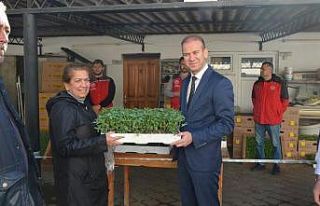 Köyceğiz’de Ata tohumu fidesi dağıtıldı