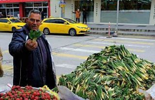 Lezzet ve şifa deposu çiriş otu tezgahlarda yerini...