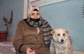 Mahallenin maskotu ’Çirkin’ alkış sesi duyunca...