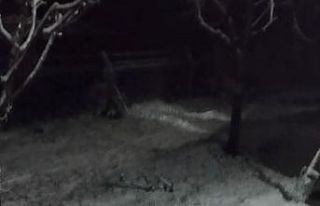 Malatya’ya nisan ayı yağan kar şaşırttı