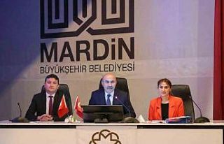 Mardin Valisi Demirtaş: "İl genelinde yürütülmekte...