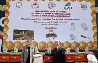 Mardin’de arı yetiştiricilerine destek