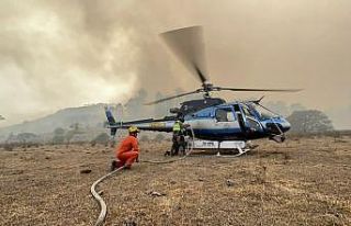 Meksika’da orman yangını: 1 ölü