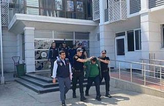 Mersin’de ’sazan sarmalı’ yöntemi: Milyonlarca...