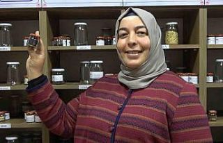 Muhafaza edilen ata tohumları çiftçilere dağıtıldı
