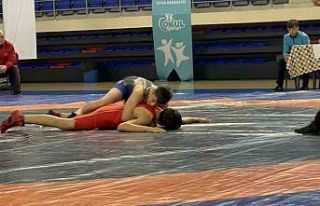 Niğde’de Grekoromen Gençler ve Yıldızlar Grup...