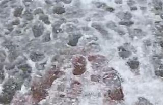 Nisan ayında kış geri geldi