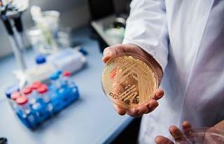 Ölümcül mantarla, yapay zeka desteği ile mücadele...