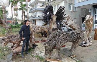 Orman yangınından kalan atık ağaç parçalarını...