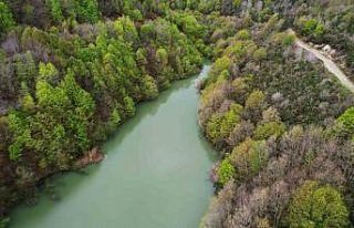 Ortaburun Tabiat Parkı baharla birlikte rengarenk...