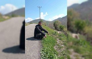 Ot biçen vatandaşı yılan ısırdı