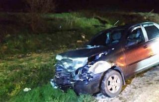 Otomobil domuz sürüsüne daldı