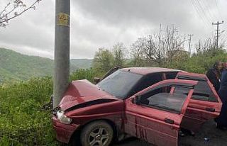 Otomobil elektrik direğine çarptı, 4 kişi yaralandı