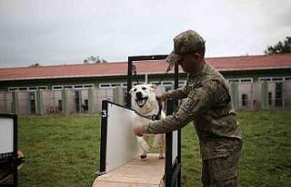 (Özel) Depremin kahramanları...Böyle yetiştiriliyorlar