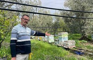 (Özel) Parmak yalatan hırsızlık