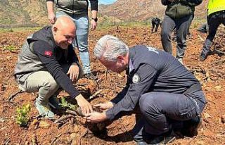 Polisler ve orman işletme yanan alanlarda fidan dikti