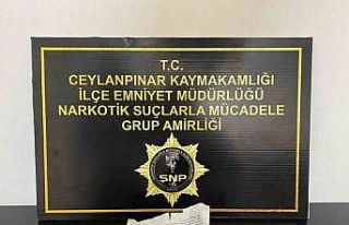 Polisten uyuşturucu serasına operasyon