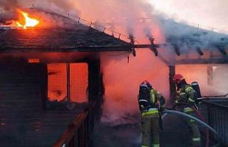 Polonya’da hayvanat bahçesinde yangın: 7 maymun,...