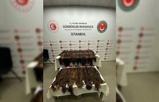 Sabiha Gökçen’de valiz içerisinde kilolarca insan...