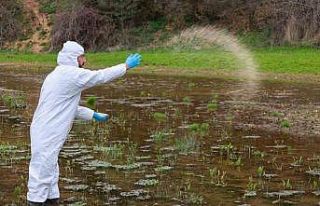 Sağlıklı yaz için larvasit çalışmaları sürüyor