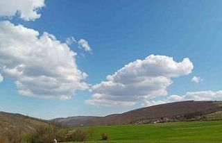 ’Sakin, huzurlu bir hayat ve evlilik kalp hastalıklarından...