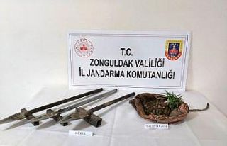 Salep soğanı toplarken yakalandılar
