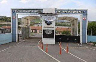 Şap nedeniyle geçici olarak kapanan Diyarbakır...