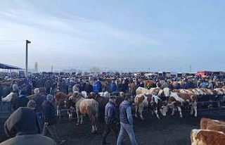 Şap tehlikesiyle kapatılmıştı, açılmasına...