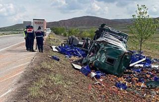 Sebze ve meyve yüklü tır devrildi, sürücü yaralandı
