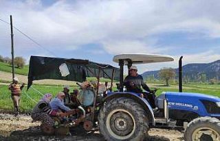 Selendi’de tütün dikimi başladı