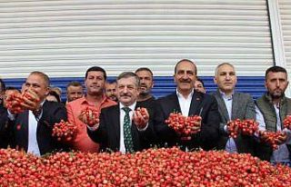 Sezonun ilk kirazı 800 TL’den satıldı