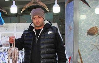 Sezonun son günü tezgahlar boş kaldı