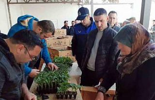 Sinop’ta 530 seracıya 61 bin sebze fidesi dağıtıldı