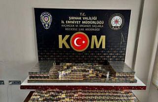 Şırnak’ta asayiş ve kaçakçılık operasyonu:...